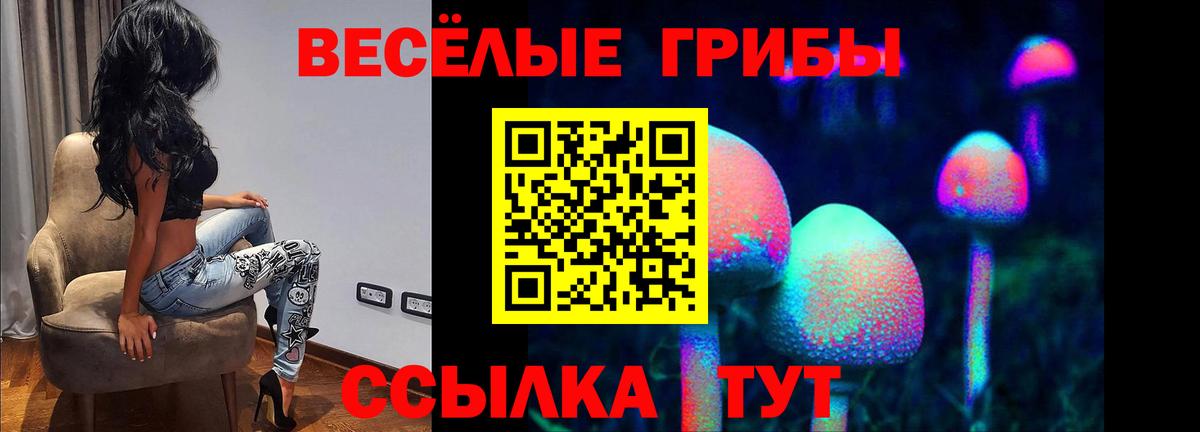 Галлюциногенные грибы GOLDEN TEACHER  Вход с VPN  Нижнеудинск 